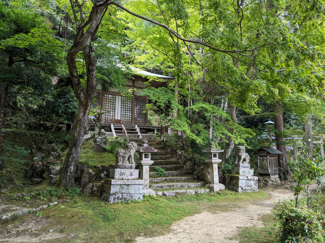 a shrine is surrounded by trees, like they are consuming it in foliage